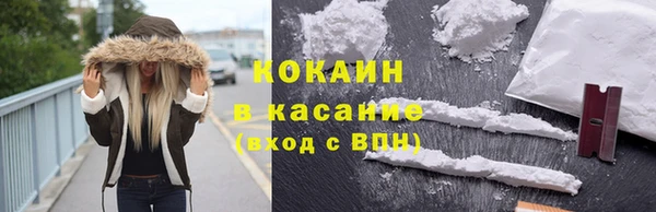 шишки Абаза