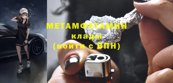 шишки Абаза