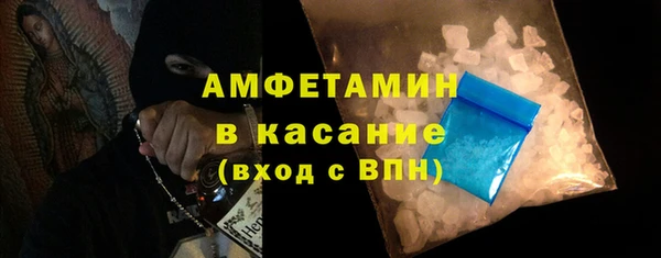 шишки Абаза