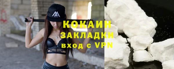 шишки Абаза