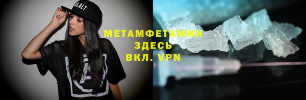 шишки Абаза