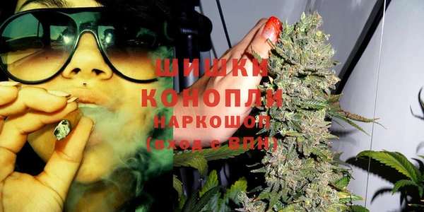 шишки Абаза