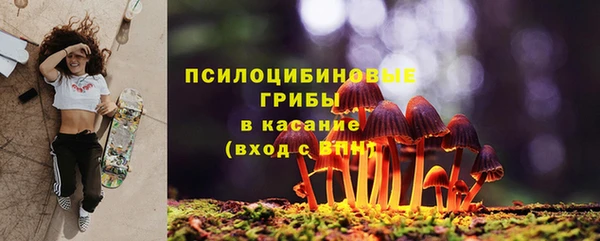 шишки Абаза
