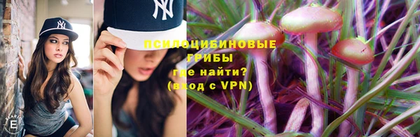шишки Абаза