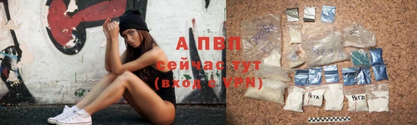 шишки Абаза