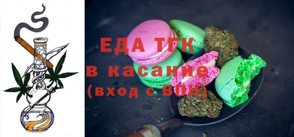 шишки Абаза