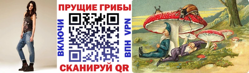 Галлюциногенные грибы Magic Shrooms  Болохово 